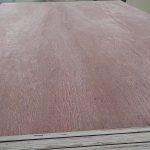 Bintangor Faced Plywood — image 12