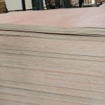 Bintangor Faced Plywood — image 9