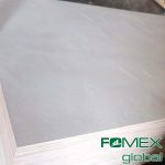 Birch Plywood — image 8