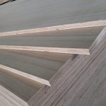 EV (Engineer Veneer) — image 6