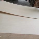 EV (Engineer Veneer) — image 10
