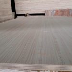 EV (Engineer Veneer) — image 7