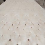 Packing Plywood Grade AA (Okoume, Bintangor, Pine, EV Face) — image 9