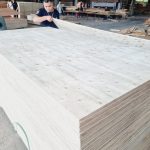 Packing Plywood Grade AA (Okoume, Bintangor, Pine, EV Face) — image 6