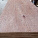 Packing Plywood Grade AB (Okoume + Styrax, Bintangor + Styrax) — image 11