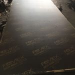 Standard-Form Film Faced Plywood — image 5